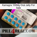 Kamagra 100Mg Oral Jelly For Sale new07